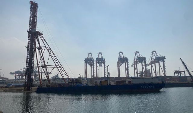 Yurt dışından gelen 2 bin tondan fazla patates virüslü çıktı, hepsi geri gönderildi