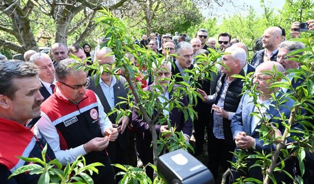 Bakan Yardımcısı Gümen: İznikte 63 bin dekar alan zirai dondan etkilendi