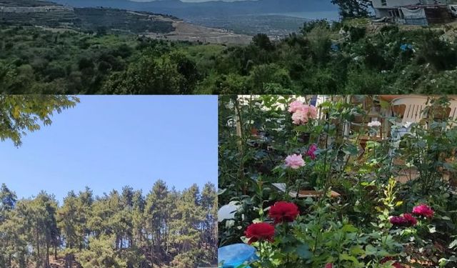 Toroslar yaylalarına bahar geldi