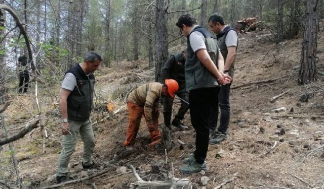 Bölge Müdürü Ataş, Mut'ta incelemelerde bulundu