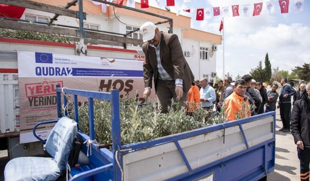 Gülnar'da Zeytin Fidanı Dağıtımı Gerçekleşti