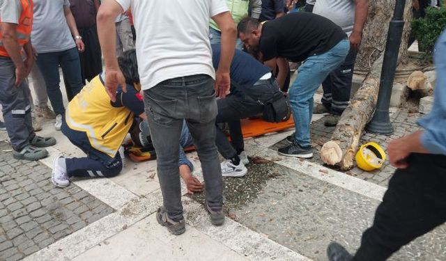 Mut'ta kestiği dalı ayağıyla iterken düşen işçi ağır yaralandı