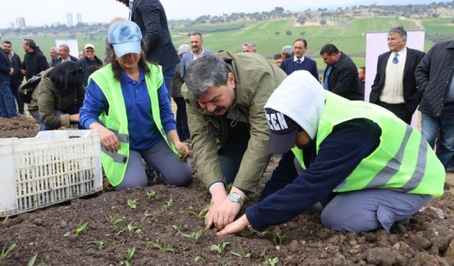 Toroslar Belediyesi salep üreticisi oluyor