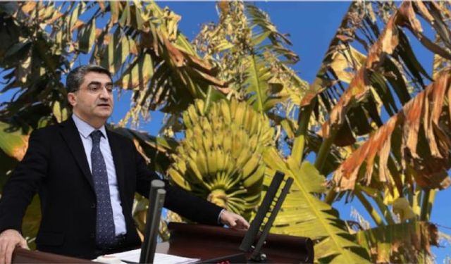 DEVA Partili Ekmen: Çiftçi kaderine terk edildi