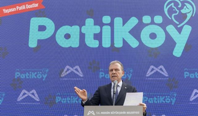 Büyükşehir, 'Patiköy'ü açtı