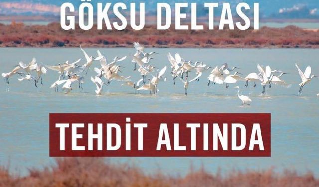 TEMA Vakfından uyarı: Kentleşme, tarım baskısı ve yangınlar, Göksu Deltasını tehdit ediyor