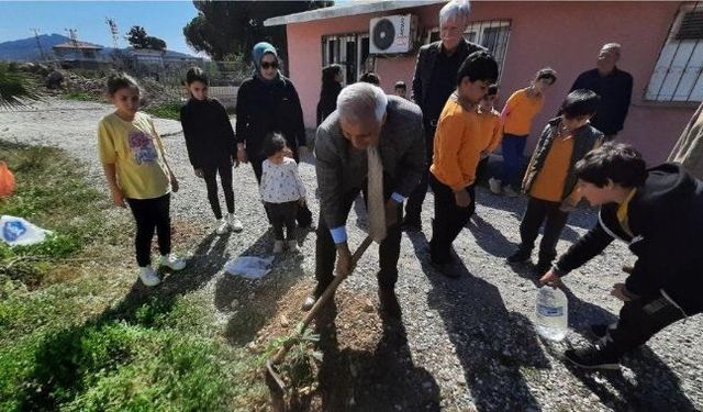 Bozyazı'da fidan dikim etkinliği
