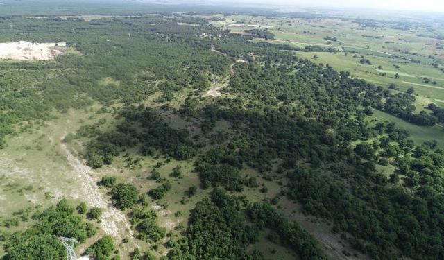 Kırklareli'de ormanlara girişler yasaklandı