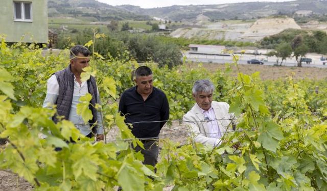 Büyükşehirden üreticilere her konuda tam destek
