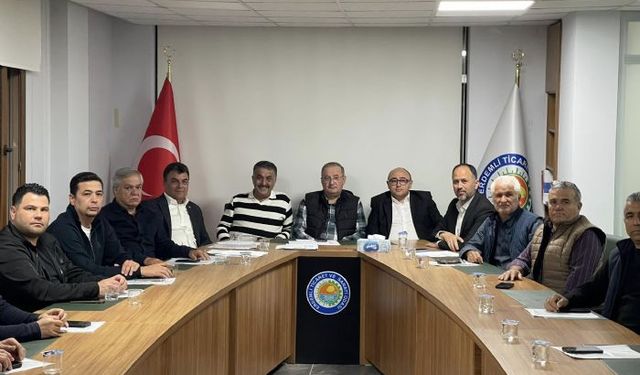 Erdemli'de limon üreticileri ihracat yasağının kaldırılmasını talep ediyor 
