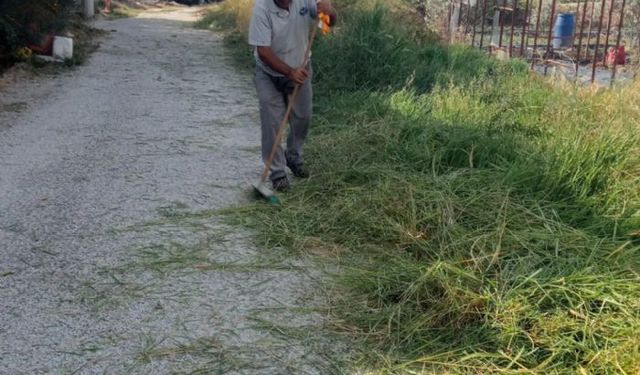 Anamur Belediyesi'nden Yeşil Alan Düzenlemeleri