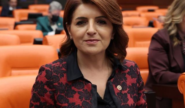 CHP'li Kış: "Çocuklarımıza umut bırakalım"