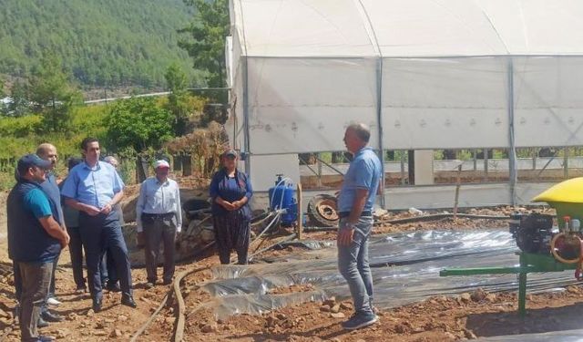 Bozyazı Kaymakamı, çilek serasında incelemelerde bulundu