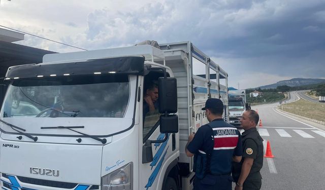 Mut’ta Ormanlara Sıkı Denetim