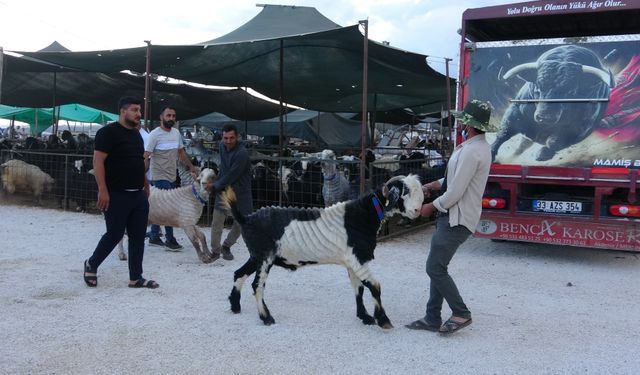 Mersin’de Bayram Öncesi Kurban Pazarı Canlandı
