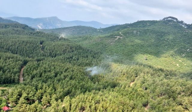 Osmaniye’de Ormanlara Giriş 5 Ay Yasaklandı