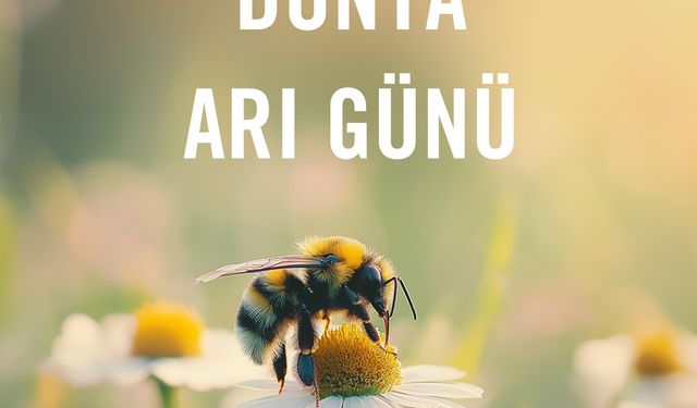 Dünya Arı Günü: Doğanın Sessiz Kahramanları Arılar 100 Milyon Yıldır Görev Başında