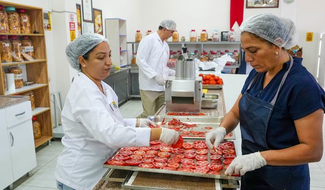 Tarsus'ta Meyve ve Sebze Kurutma Tesisi Hizmete Açıldı