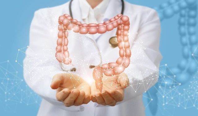 Yaz Aylarında Bağırsak Enfeksiyonlarına Dikkat!