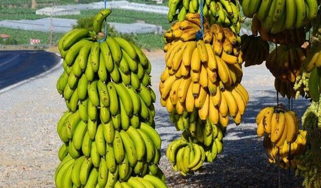Üreticinin emeğini ucuza almak isteyenlere fırsat vermeyin
