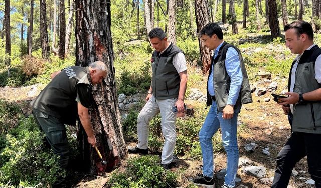 Mersin Orman Bölge Müdürü Ataş’tan Yangın Sezonu Mesaisi