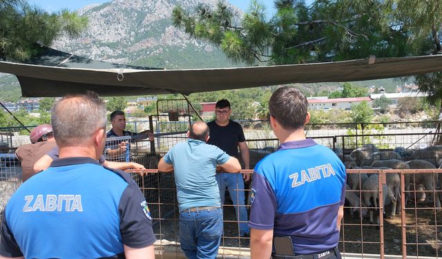 Kemer Belediyesi’nde Kurban Denetimi