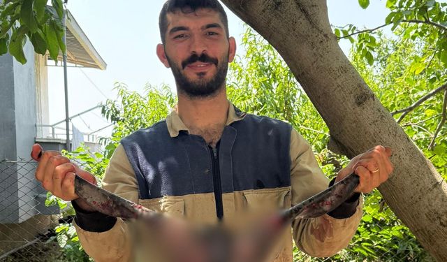 Tarsus’ta Kurban Kesimleri Bayramın 3. Gününde de Sürüyor