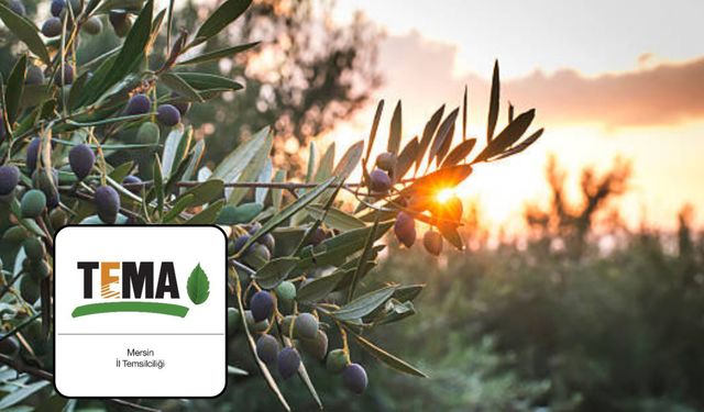 TEMA Mersin'den Meclis’e Çağrı: “Doğa İçin Ses Verin”