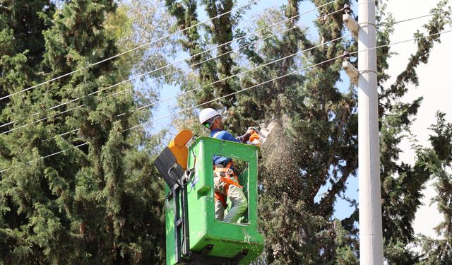 Toroslar’da Yaz Temizliği: Park ve Yeşil Alanlara Yoğun Mesai