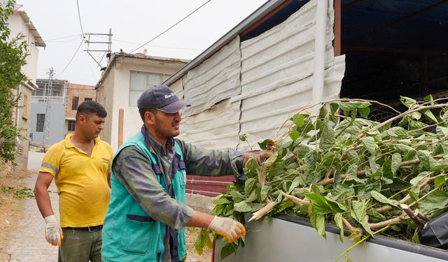 Tarsus’ta Çevre Seferberliği: Mahalle Mahalle Dönüşüm Başlıyor