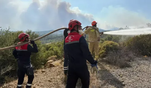 MEB AKUB Ekipleri Yangın Bölgelerinde Canla Başla Çalıştı