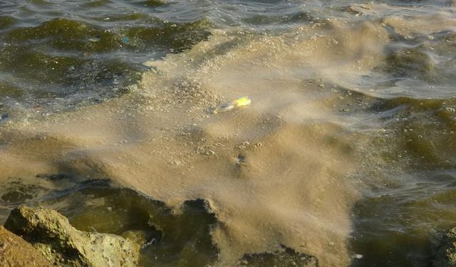 Doğu Akdeniz’in Gözde Sahilleri Kirlilikle Boğuşuyor