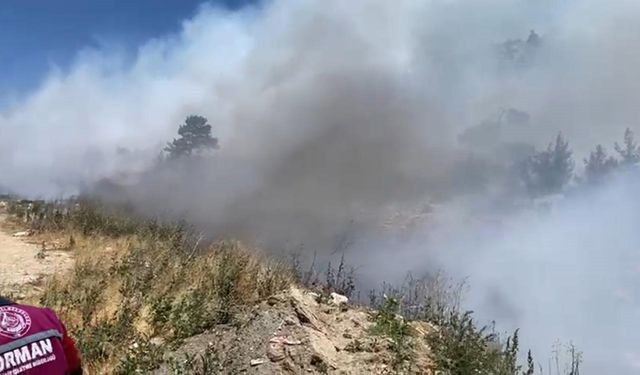 Mersin’in Mut ve Gülnar İlçelerinde Orman Yangını