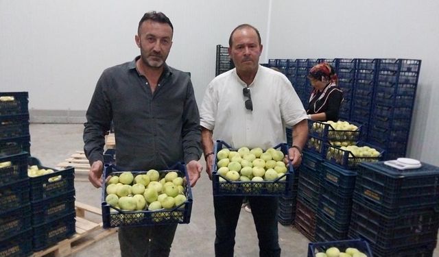 Mut Beyaz İnciri İlk Kez İhracat Yolunda