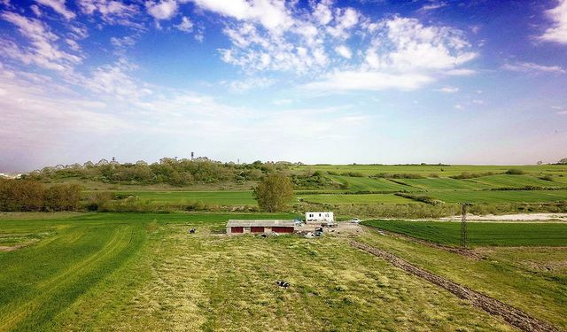 Mersin'de satılacak 6 dönüm tarlanın fiyatı herkesi şaşırttı