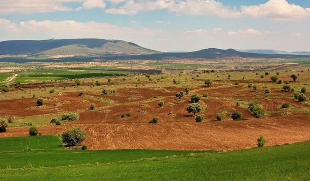 Mersin'de 20 dönüm toprak satışa çıktı: Mezitli'de bir kez gelecek yatırım şansı!
