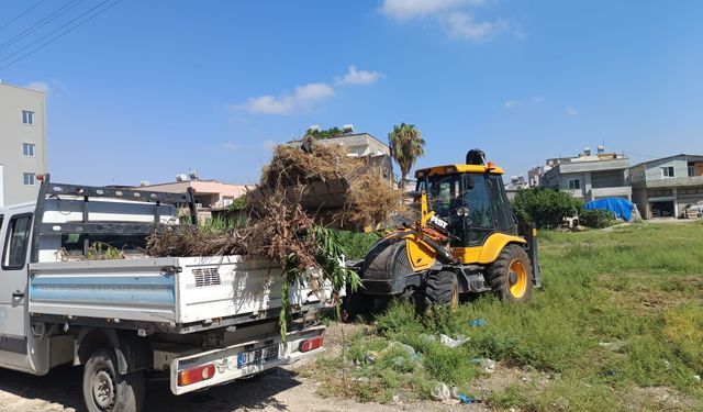Akdeniz’de Moloz Ve Ot Temizliğiyle Çevre Seferberliği