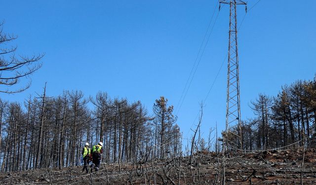 UEDAŞ, Bursa’daki Orman Yangınlarında Enerji Güvenliği İçin Alarmda