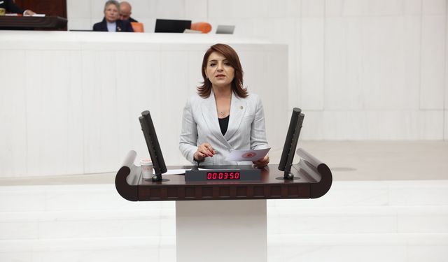 Gülcan Kış: “Torba Yasa ile Ne Ekonomi Düzelir Ne de Türk Lirası Değer Kazanır”