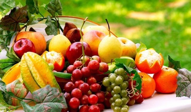 Mersinli İhracatçılar, ASIA FRUIT LOGISTICA Fuarı’nda Türkiye’yi Temsil Edecek