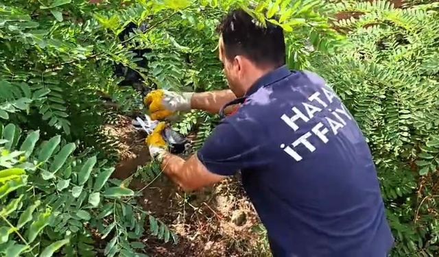 Ayağına Poşet Dolanan Kuş İtfaiye Tarafından Kurtarıldı