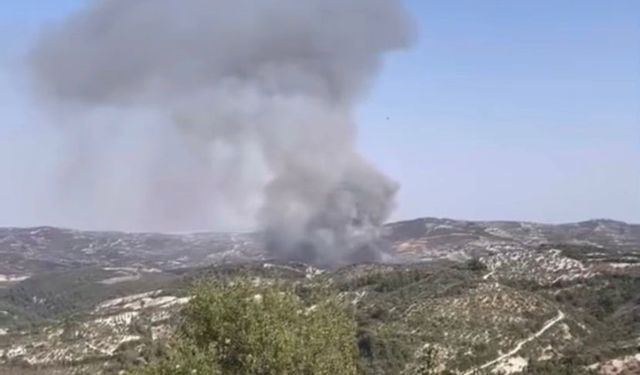 Hatay Yayladağı'nda Orman Yangınına Müdahale Başladı