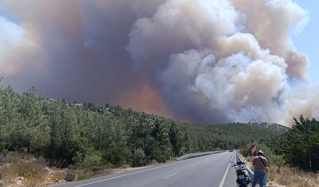 Silifke’de Orman Yangınına Müdahale