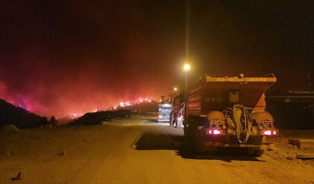 Hatay Hassa'da Orman Yangını: 540 Kişi Tahliye Edildi, Müdahale Sürüyor