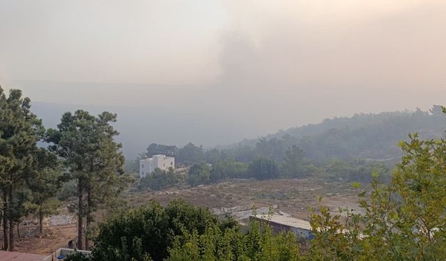 Silifke’de Orman Yangını Büyüyor: Havadan ve Karadan Yoğun Mücadele