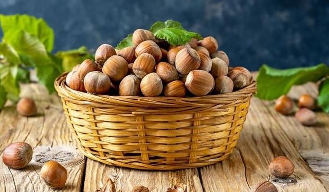 2025 yılı Fındık ve Ceviz Fiyatlarında Son Durum