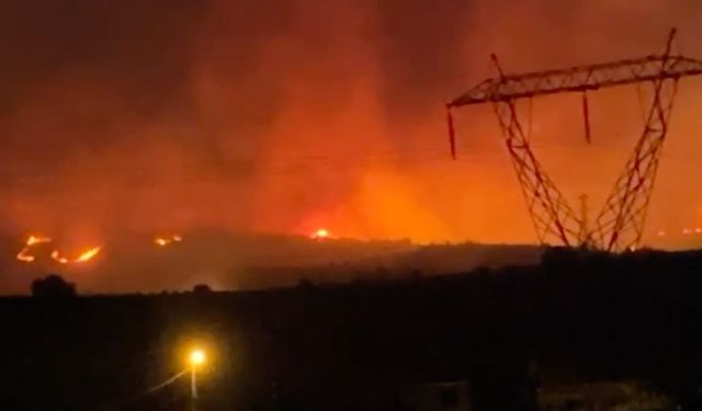 Manisa Alaşehir'de Orman Yangını: Hava ve Kara Müdahalesi Sürüyor