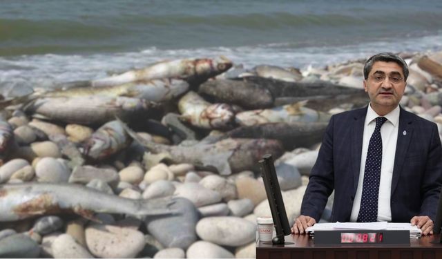Kazanlı’daki Balık Ölümleri Meclis’e Taşındı!