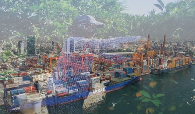 Mersin’de Narenciye İhracatı Artıyor: Yeni Tarım Teknolojileri Üretimi Güçlendiriyor