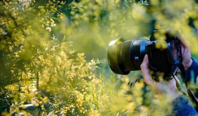 Mersin Fotoğraf Derneği’nden “Foto Yorum” Etkinliği